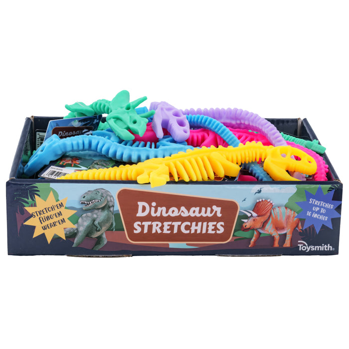 Fun Dinosaur Stretchies