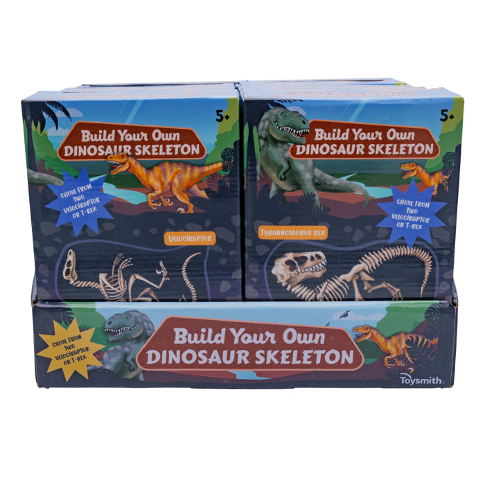 Fun BYO Dinosaur Skeleton
