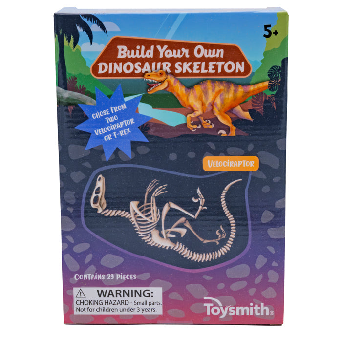 Fun BYO Dinosaur Skeleton