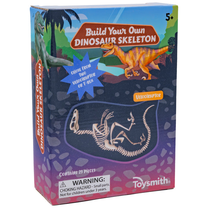 Fun BYO Dinosaur Skeleton