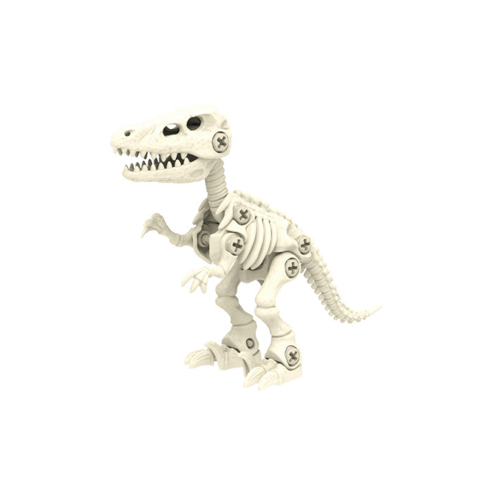Fun BYO Dinosaur Skeleton