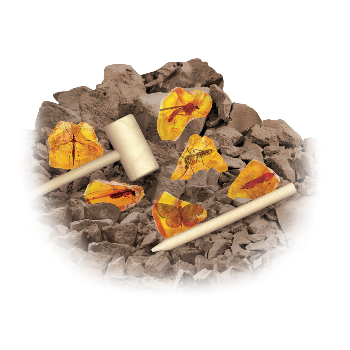 Smithsonian Amber Dig