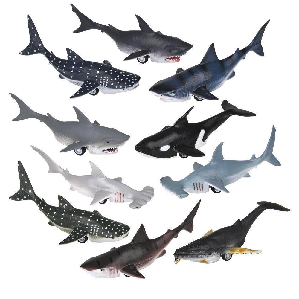 Pull Back Whale And Shark Assortment - 5" (12PC)