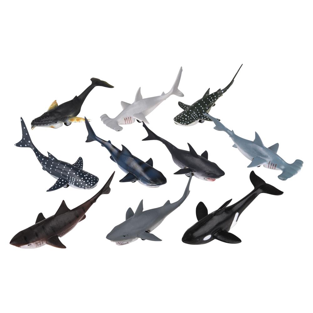 Pull Back Whale And Shark Assortment - 5" (12PC)