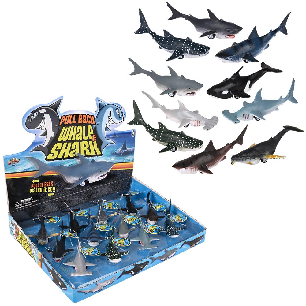 Pull Back Whale And Shark Assortment - 5" (12PC)