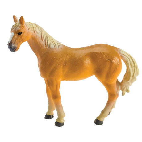 Farm Fresh Country Horses