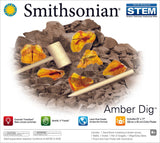 Smithsonian Amber Dig