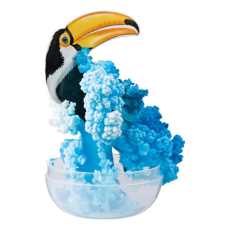 Amazing Grow Tropical Birds