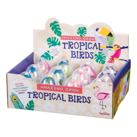 Amazing Grow Tropical Birds